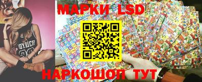 гидропоника Новозыбков