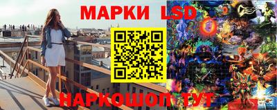 гидропоника Новозыбков