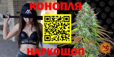 гидропоника Новозыбков