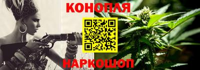 гидропоника Новозыбков