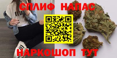 гидропоника Новозыбков